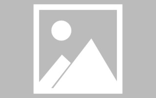 鄢陵新区景区网站建设（in art criticism,you must assume）